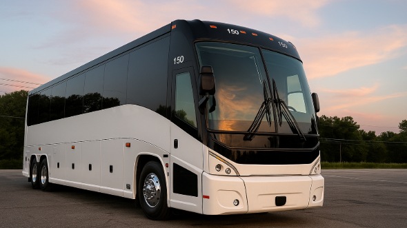 hamden bachelor and bachelorette party bus rentals